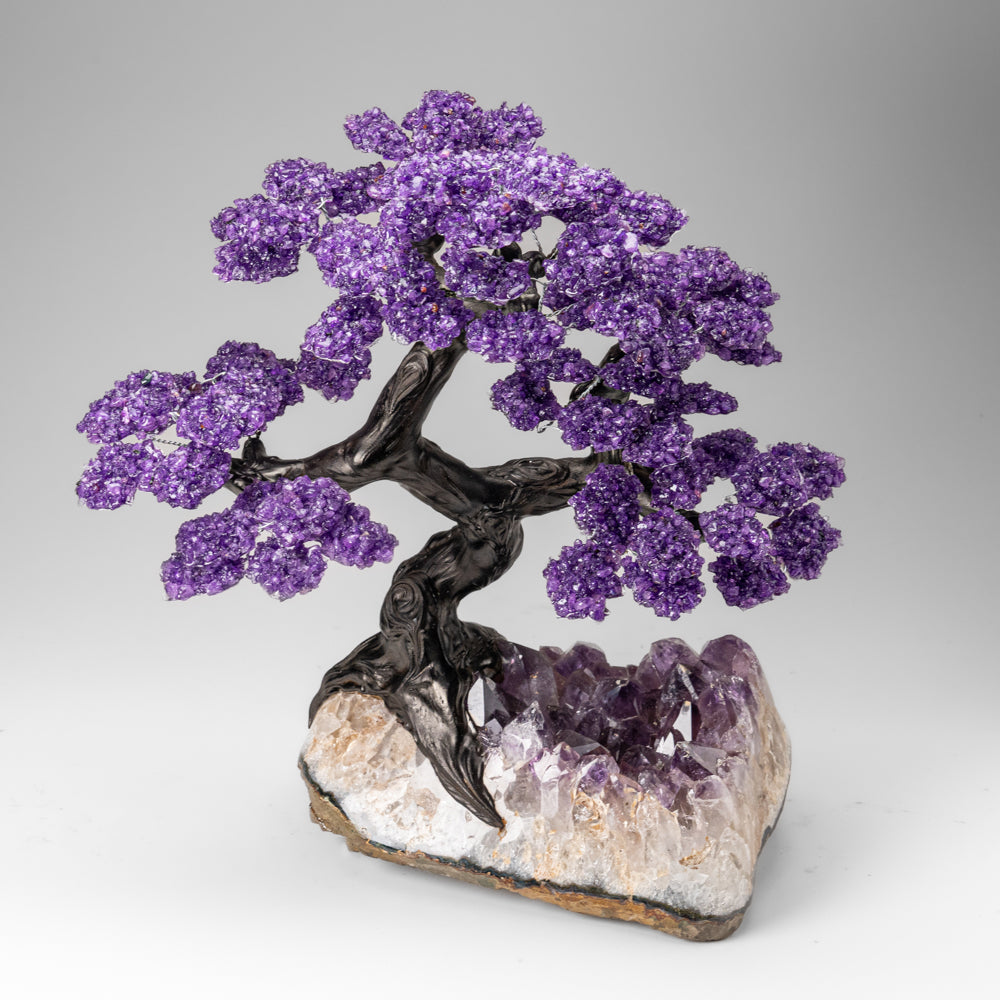 Custom Designed - Genuine Amethyst Clustered Gemstone Tree on Amethyst Matrix (The Protection Tree)