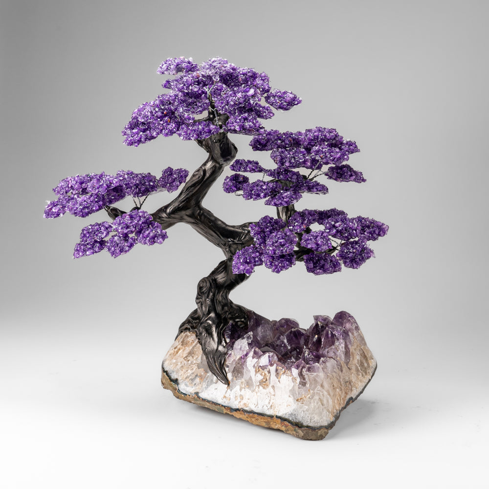 Custom Designed - Genuine Amethyst Clustered Gemstone Tree on Amethyst Matrix (The Protection Tree)