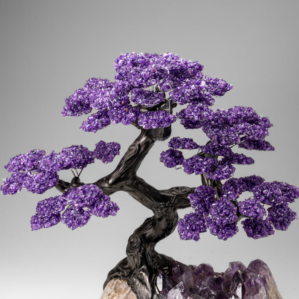 Custom Designed - Genuine Amethyst Clustered Gemstone Tree on Amethyst Matrix (The Protection Tree)