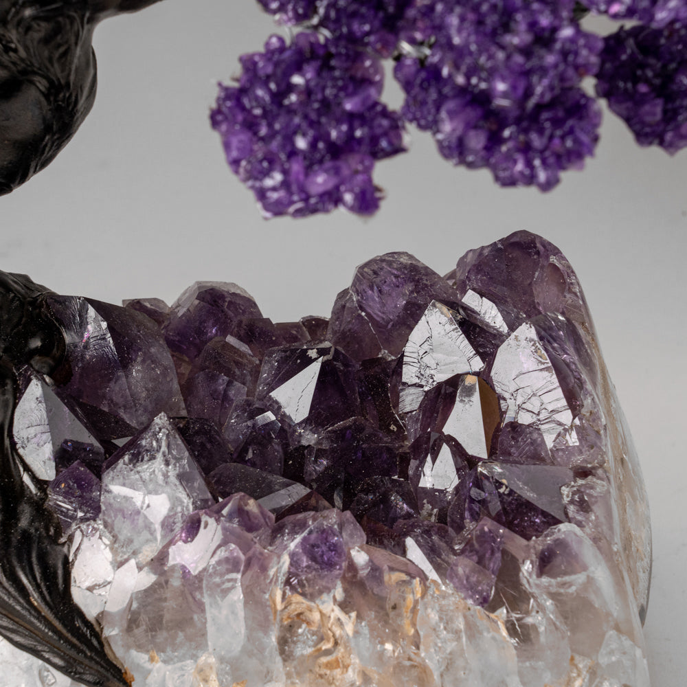 Custom Designed - Genuine Amethyst Clustered Gemstone Tree on Amethyst Matrix (The Protection Tree)