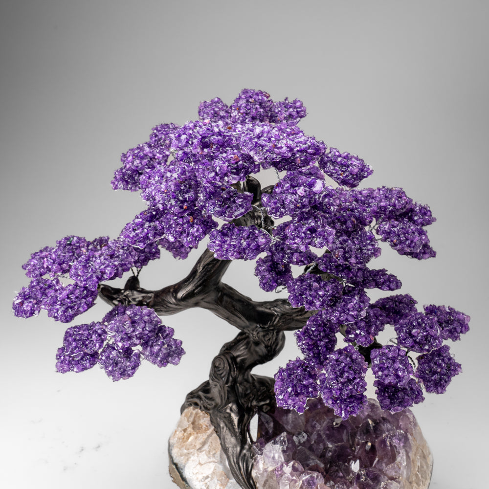 Custom Designed - Genuine Amethyst Clustered Gemstone Tree on Amethyst Matrix (The Protection Tree)