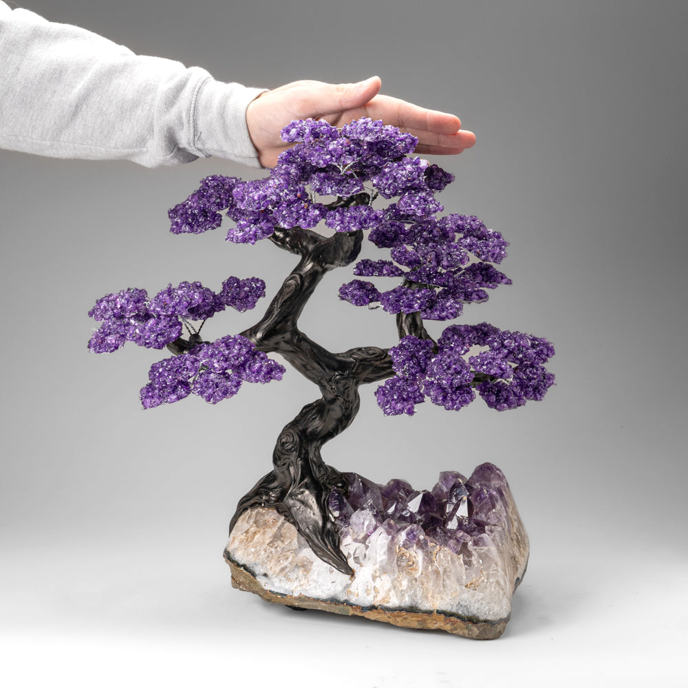 Custom Designed - Genuine Amethyst Clustered Gemstone Tree on Amethyst Matrix (The Protection Tree)