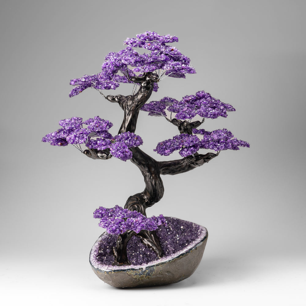 Custom Designed - Genuine Amethyst Clustered Gemstone Tree on Amethyst Matrix (The Protection Tree)