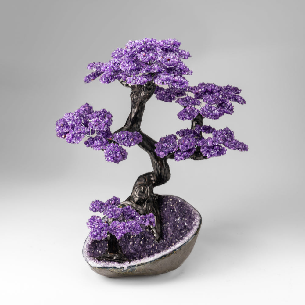 Custom Designed - Genuine Amethyst Clustered Gemstone Tree on Amethyst Matrix (The Protection Tree)