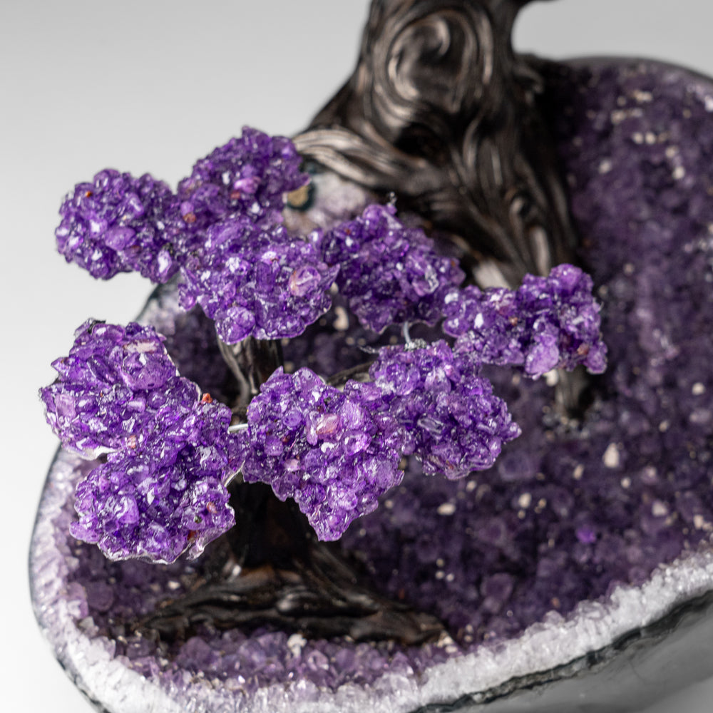 Custom Designed - Genuine Amethyst Clustered Gemstone Tree on Amethyst Matrix (The Protection Tree)