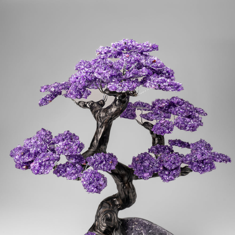 Custom Designed - Genuine Amethyst Clustered Gemstone Tree on Amethyst Matrix (The Protection Tree)