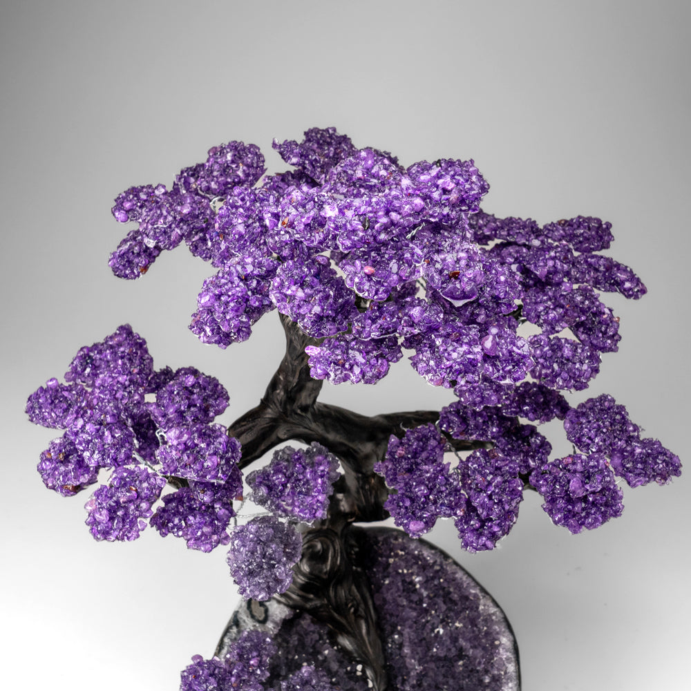 Custom Designed - Genuine Amethyst Clustered Gemstone Tree on Amethyst Matrix (The Protection Tree)