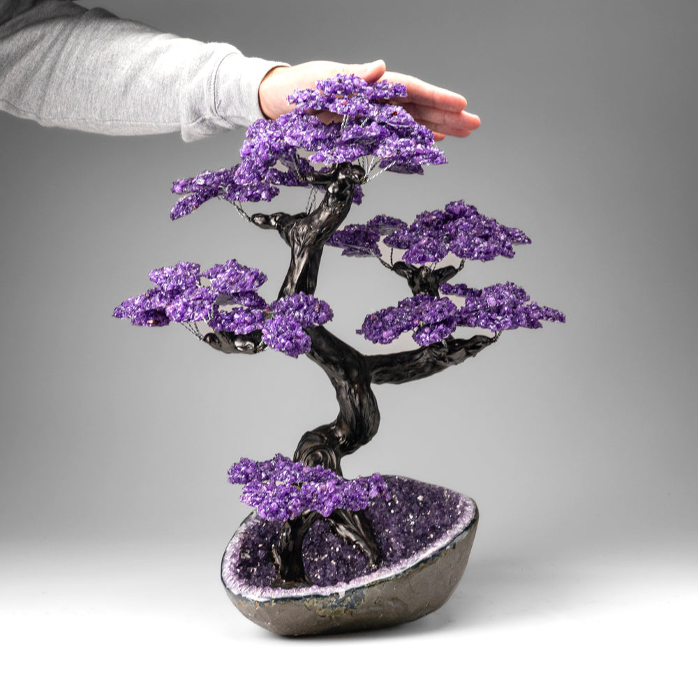 Custom Designed - Genuine Amethyst Clustered Gemstone Tree on Amethyst Matrix (The Protection Tree)