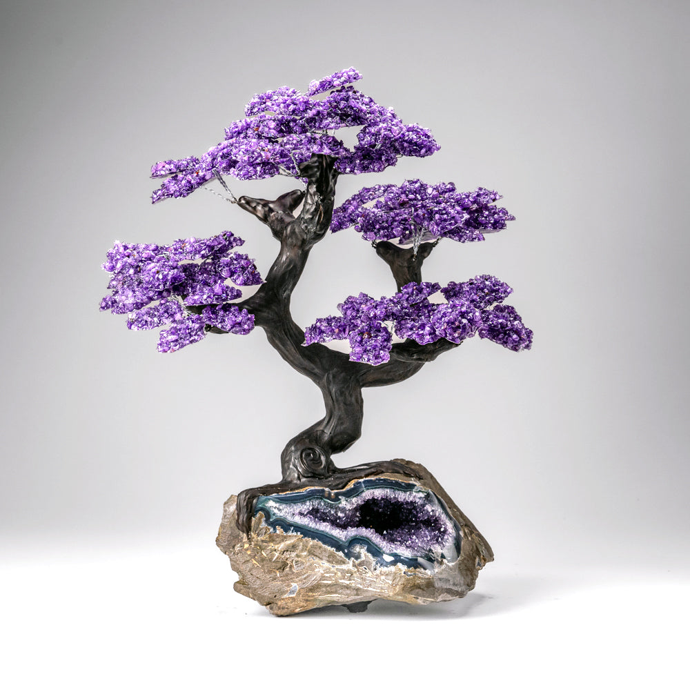 Custom Designed - Genuine Amethyst Clustered Gemstone Tree on Amethyst Matrix (The Protection Tree)