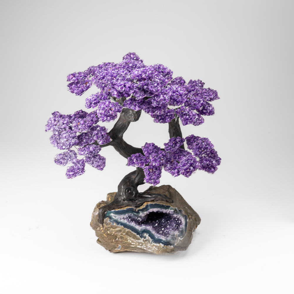 Custom Designed - Genuine Amethyst Clustered Gemstone Tree on Amethyst Matrix (The Protection Tree)