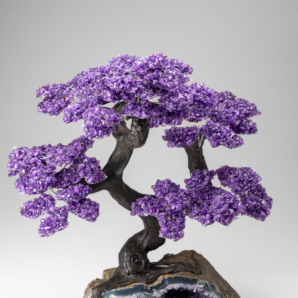 Custom Designed - Genuine Amethyst Clustered Gemstone Tree on Amethyst Matrix (The Protection Tree)