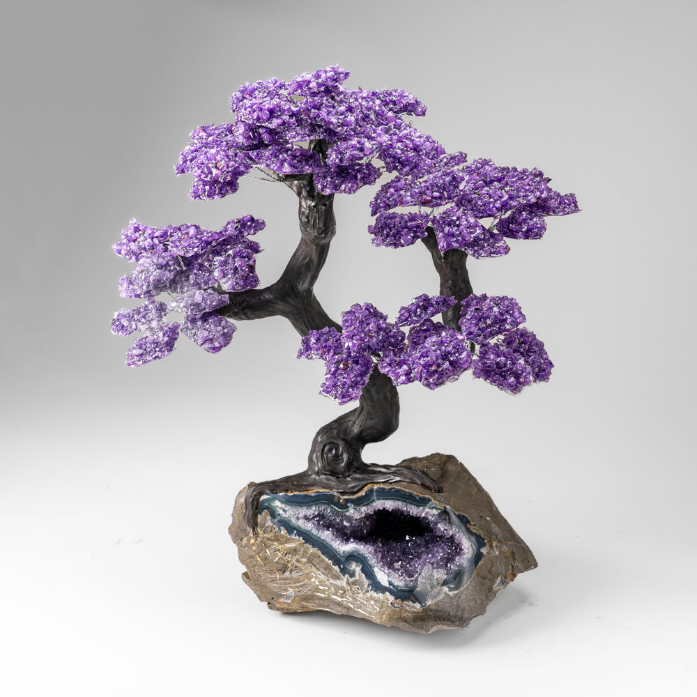 Custom Designed - Genuine Amethyst Clustered Gemstone Tree on Amethyst Matrix (The Protection Tree)