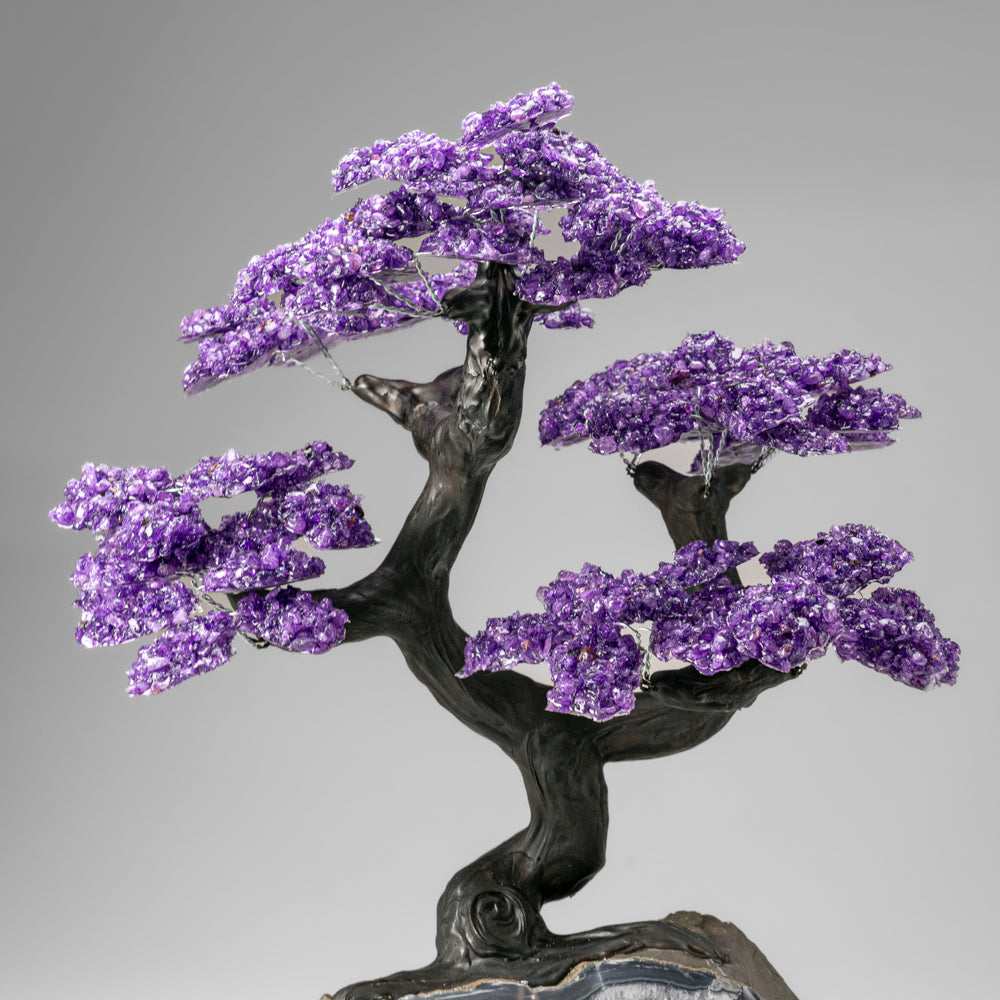 Custom Designed - Genuine Amethyst Clustered Gemstone Tree on Amethyst Matrix (The Protection Tree)