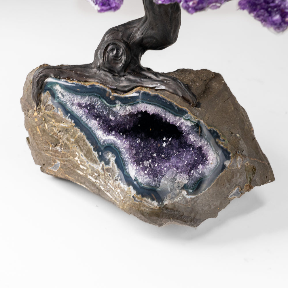 Custom Designed - Genuine Amethyst Clustered Gemstone Tree on Amethyst Matrix (The Protection Tree)