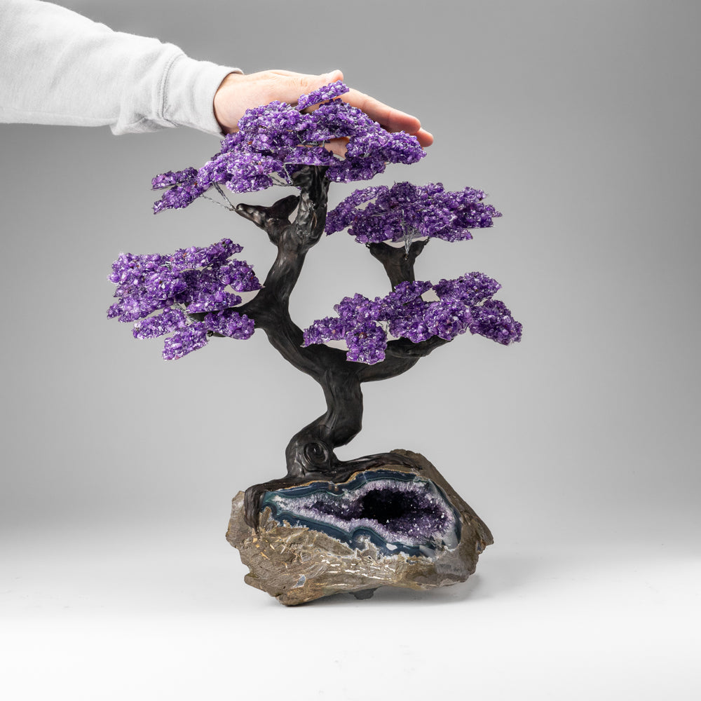 Custom Designed - Genuine Amethyst Clustered Gemstone Tree on Amethyst Matrix (The Protection Tree)