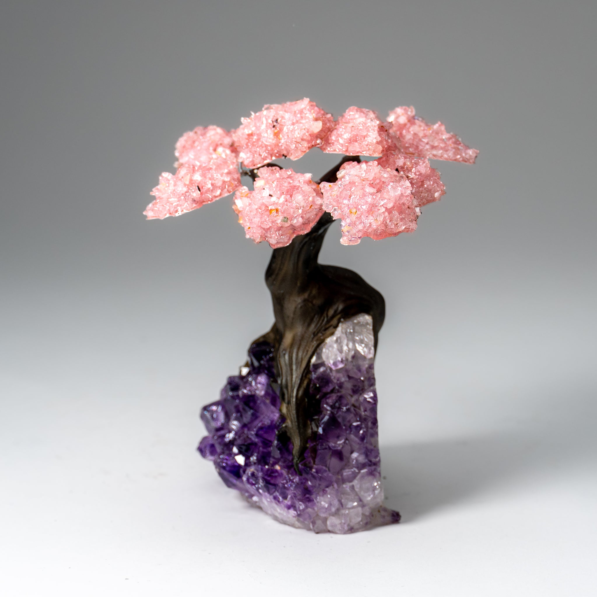 Genuine Rose Quartz Clustered Gemstone Tree on Amethyst Matrix (5 inch)(The Love Tree)