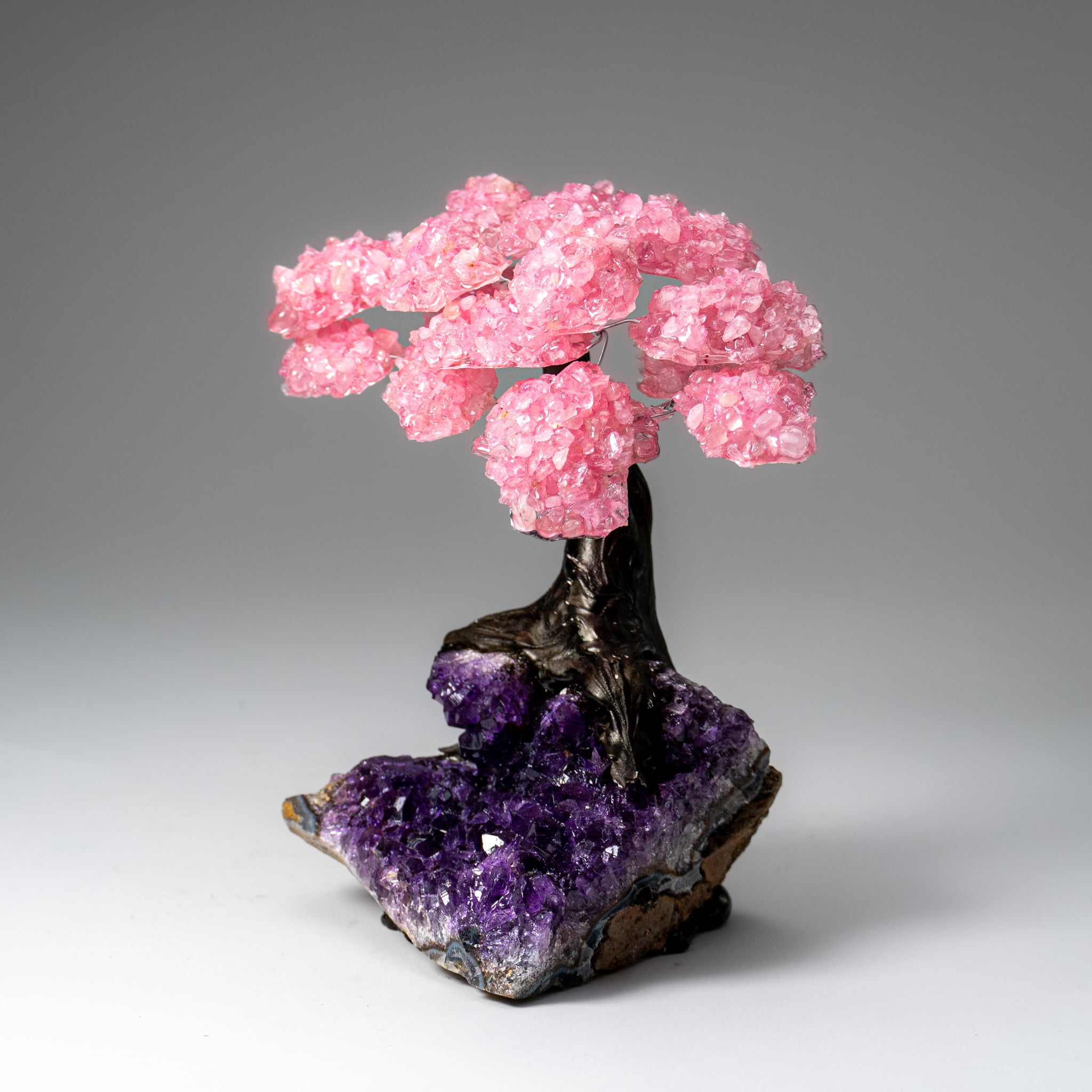 Genuine Rose Quartz Clustered Gemstone Tree on Amethyst Matrix (7 inch)(The Love Tree)