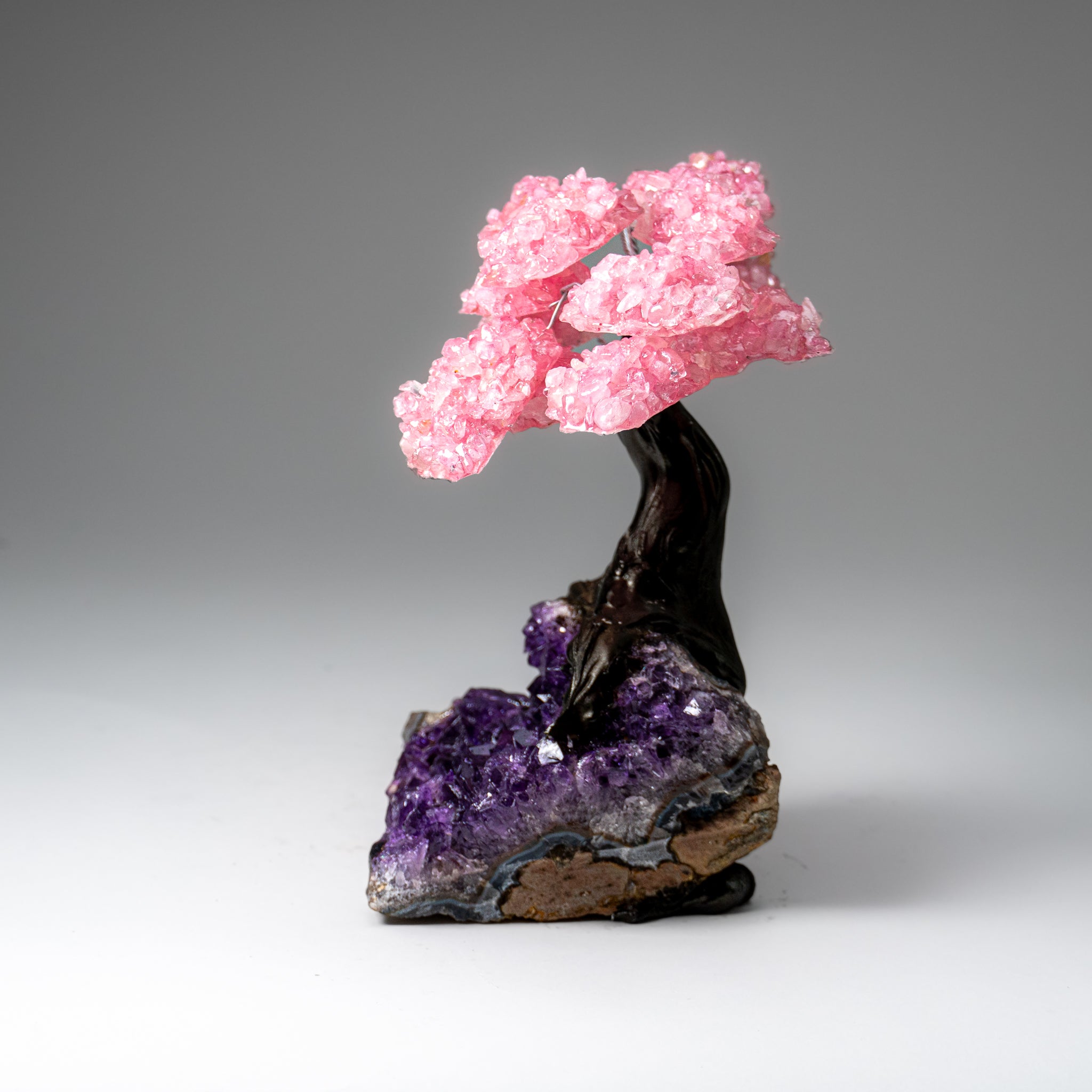 Genuine Rose Quartz Clustered Gemstone Tree on Amethyst Matrix (7 inch)(The Love Tree)