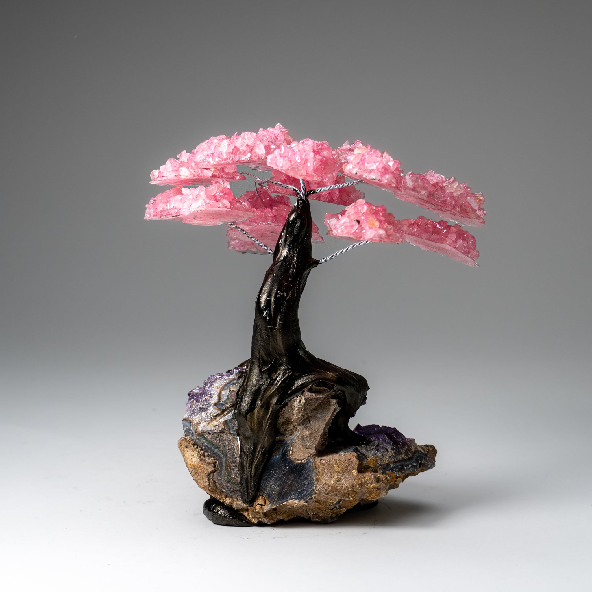 Genuine Rose Quartz Clustered Gemstone Tree on Amethyst Matrix (7 inch)(The Love Tree)