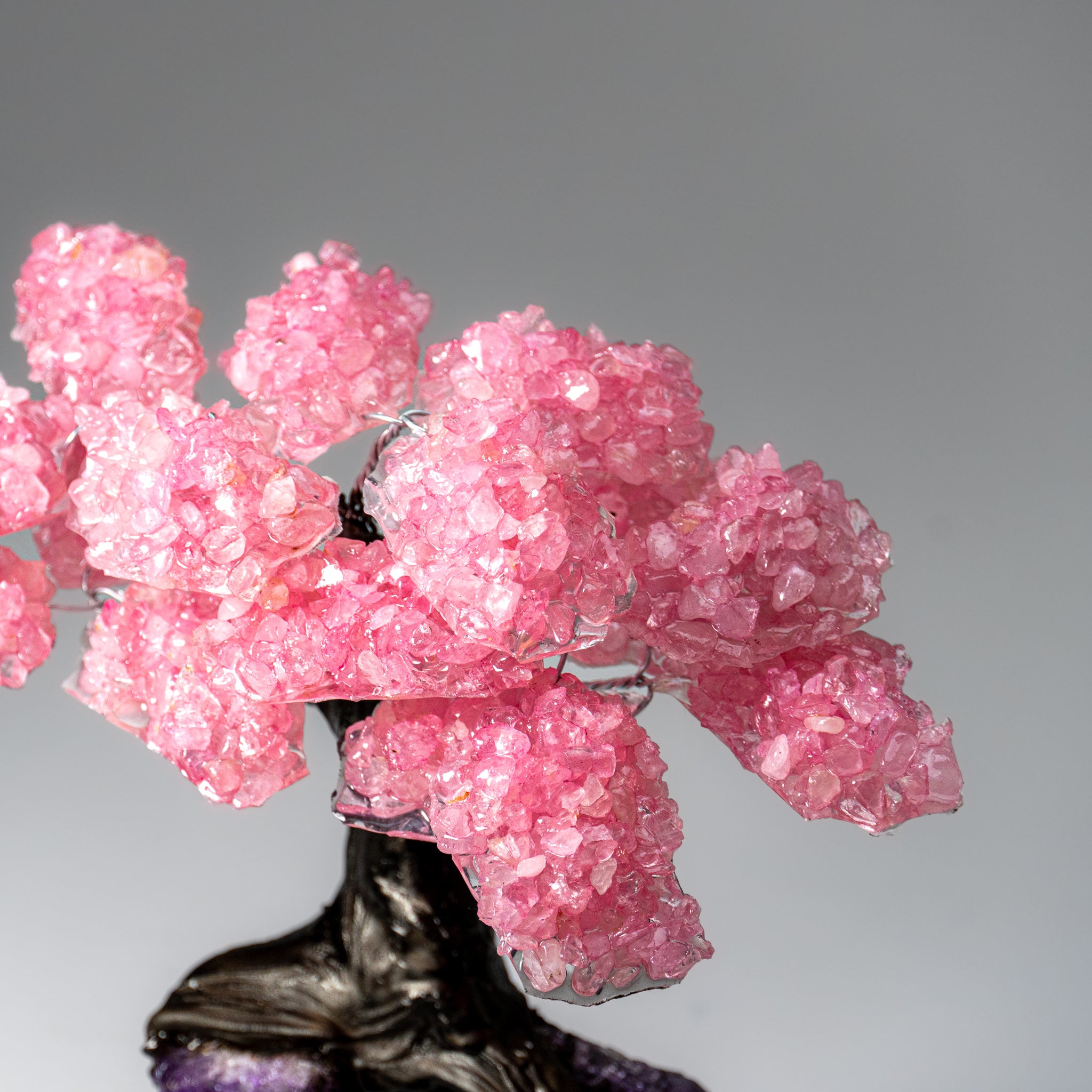 Genuine Rose Quartz Clustered Gemstone Tree on Amethyst Matrix (7 inch)(The Love Tree)