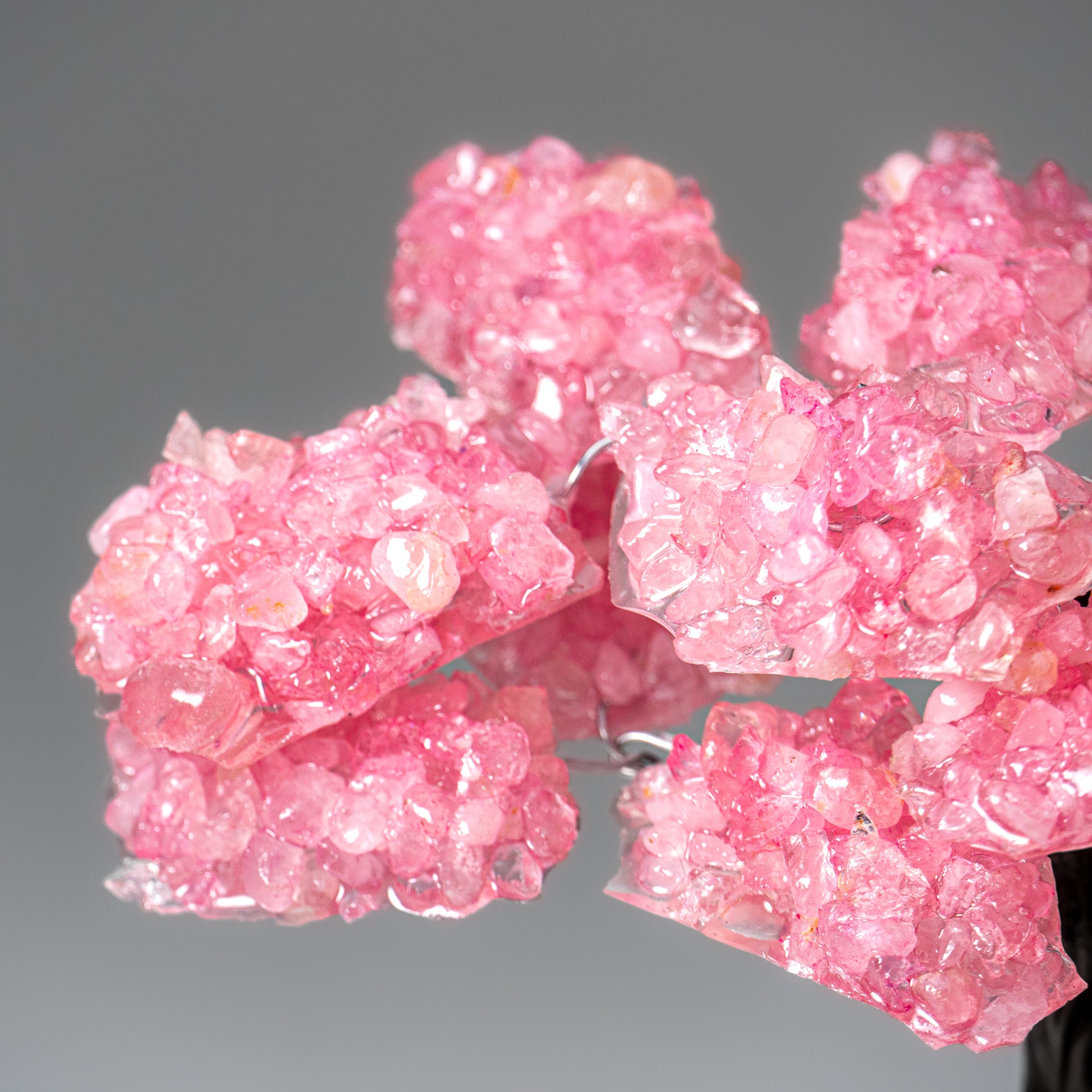 Genuine Rose Quartz Clustered Gemstone Tree on Amethyst Matrix (7 inch)(The Love Tree)