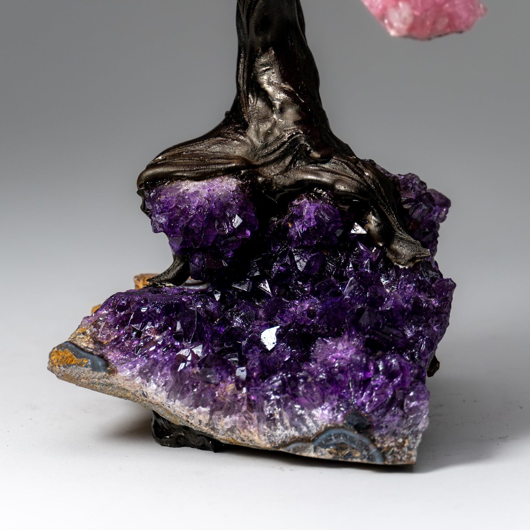 Genuine Rose Quartz Clustered Gemstone Tree on Amethyst Matrix (7 inch)(The Love Tree)