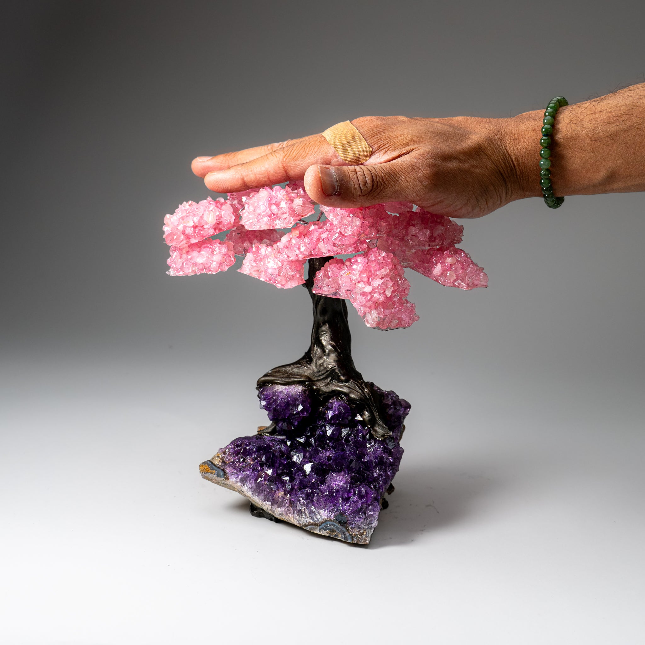 Genuine Rose Quartz Clustered Gemstone Tree on Amethyst Matrix (7 inch)(The Love Tree)