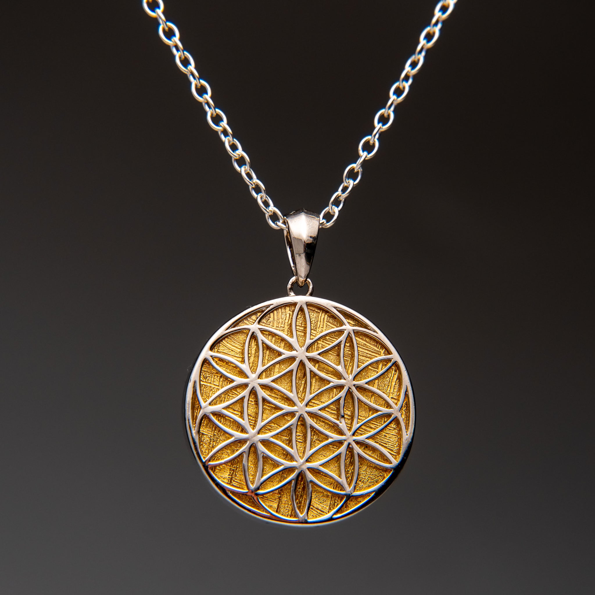Muonionalusta Meteorite Flower of Life Pendant (8.4 grams) with 18" Sterling Silver Chain