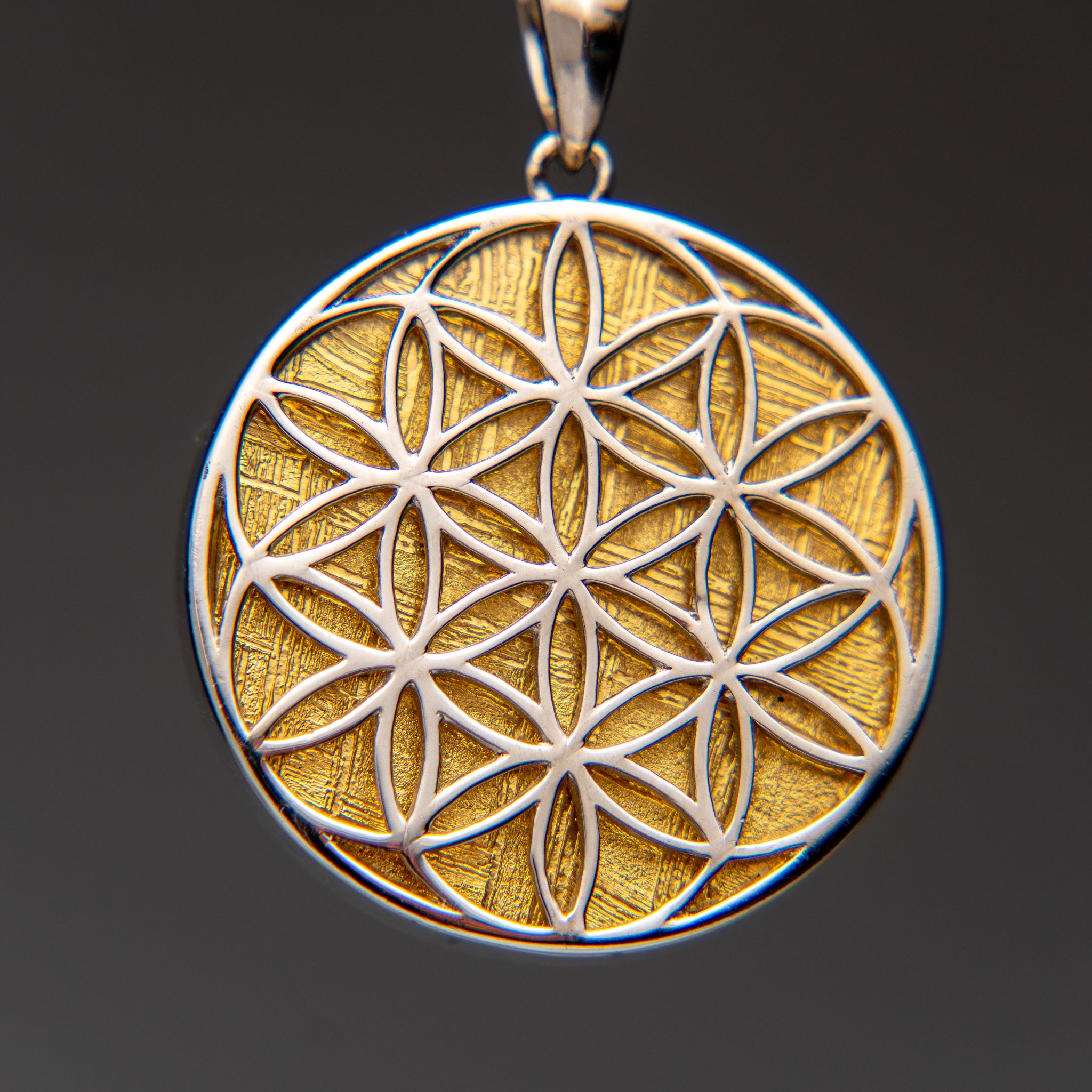 Muonionalusta Meteorite Flower of Life Pendant (8.4 grams) with 18" Sterling Silver Chain