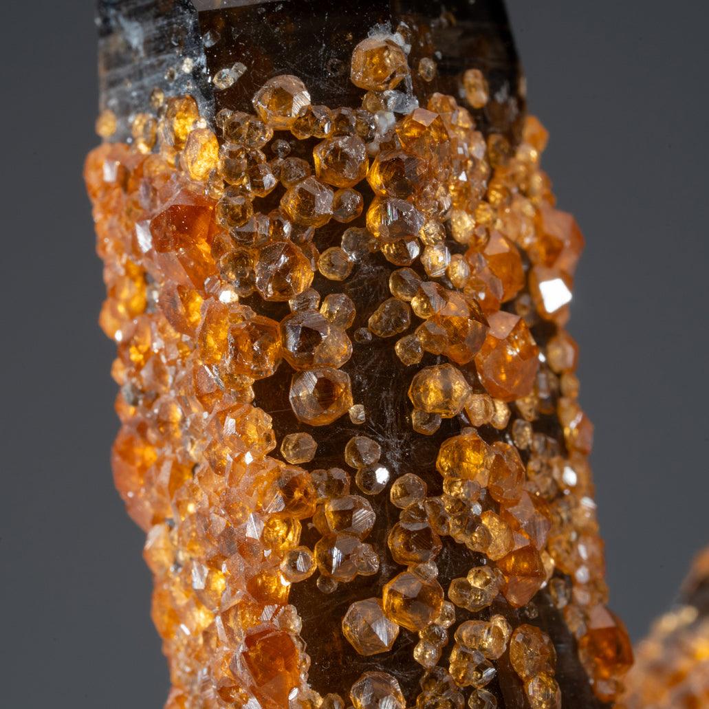 Spessartine Garnet on Smoky Quartz from Fujian Province, China