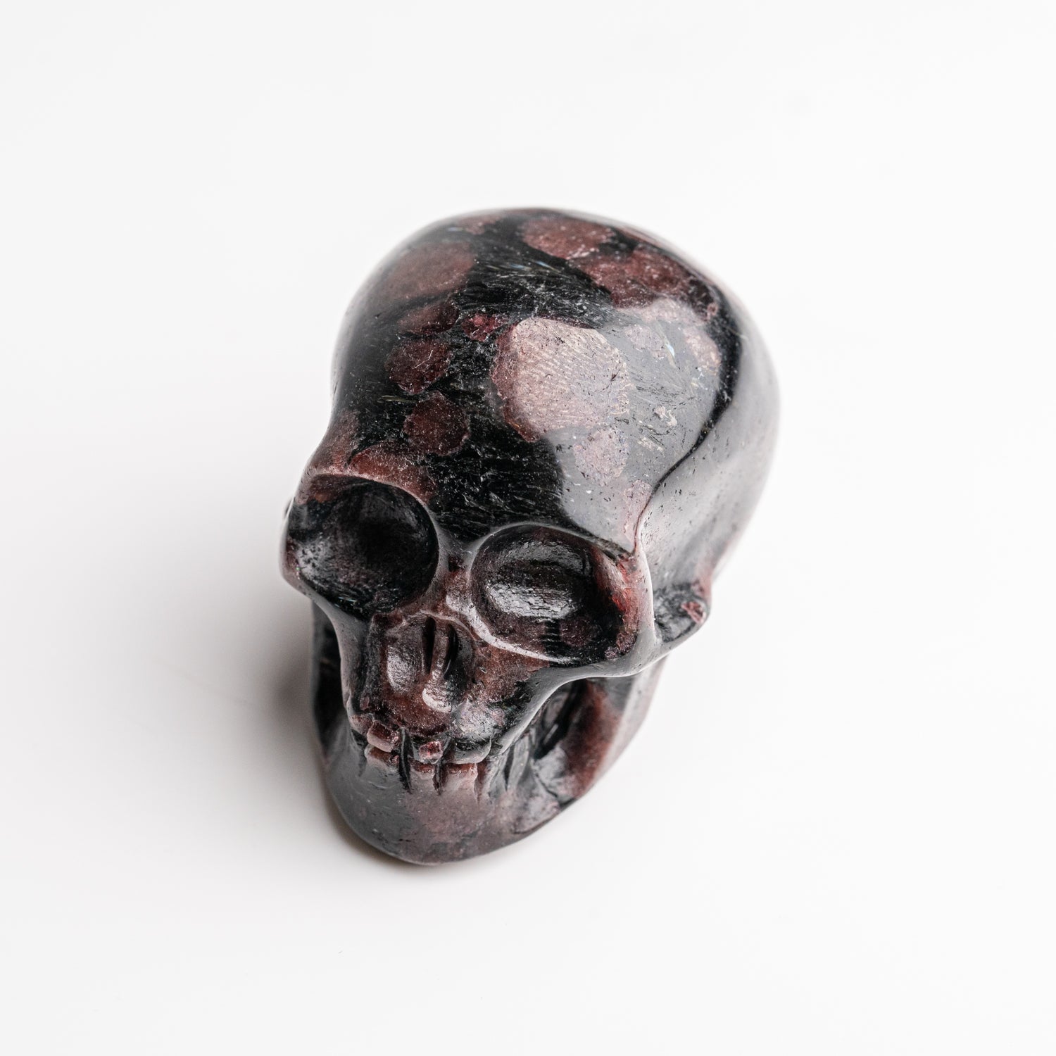 Polished Garnet in Biotite Skull Carving (141 grams)