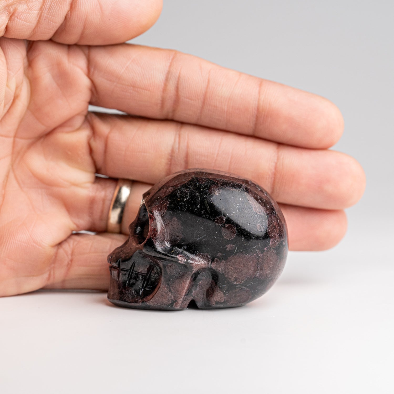 Polished Garnet in Biotite Skull Carving (141 grams)