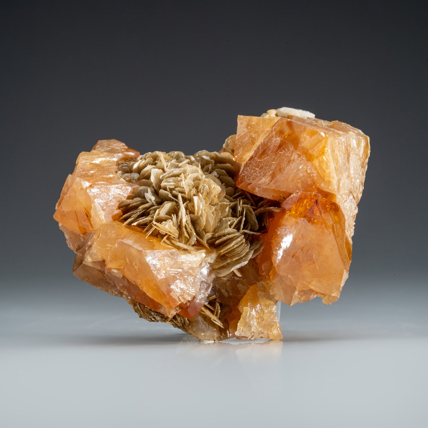 Scheelite with Muscovite from Xuebaoding Mountain near Pingwu, Sichuan Province, China
