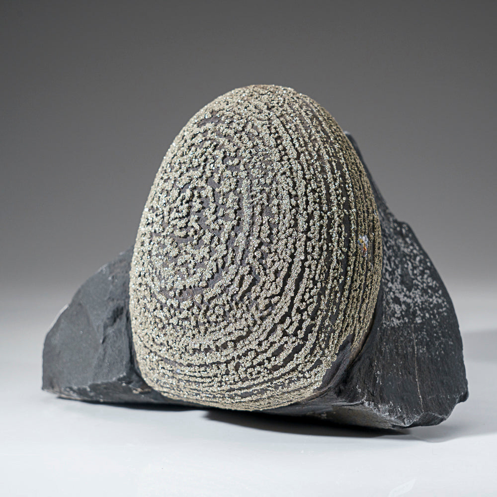 Pyrite Concretion (Boji Stone) From Dongchuan District, Kunming Prefecture, Yunnan Province, China
