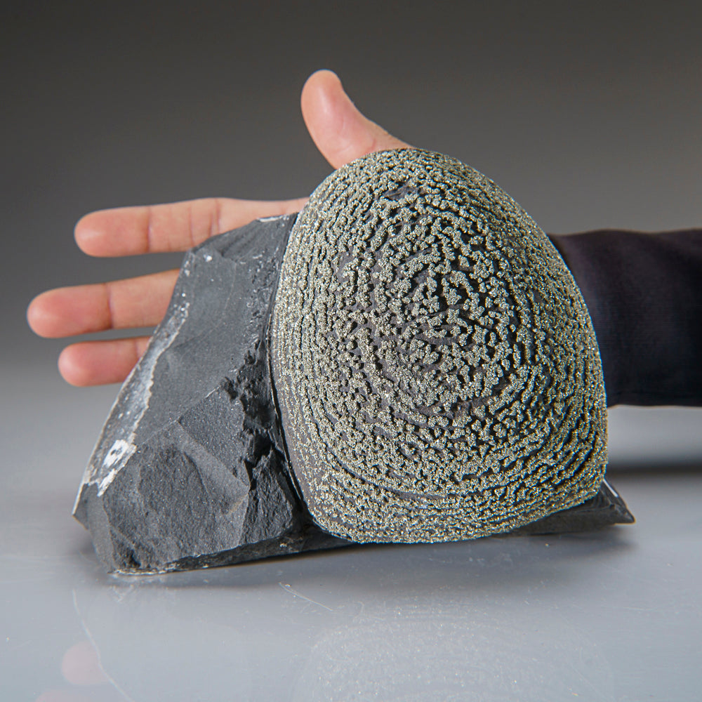 Pyrite Concretion (Boji Stone) From Dongchuan District, Kunming Prefecture, Yunnan Province, China