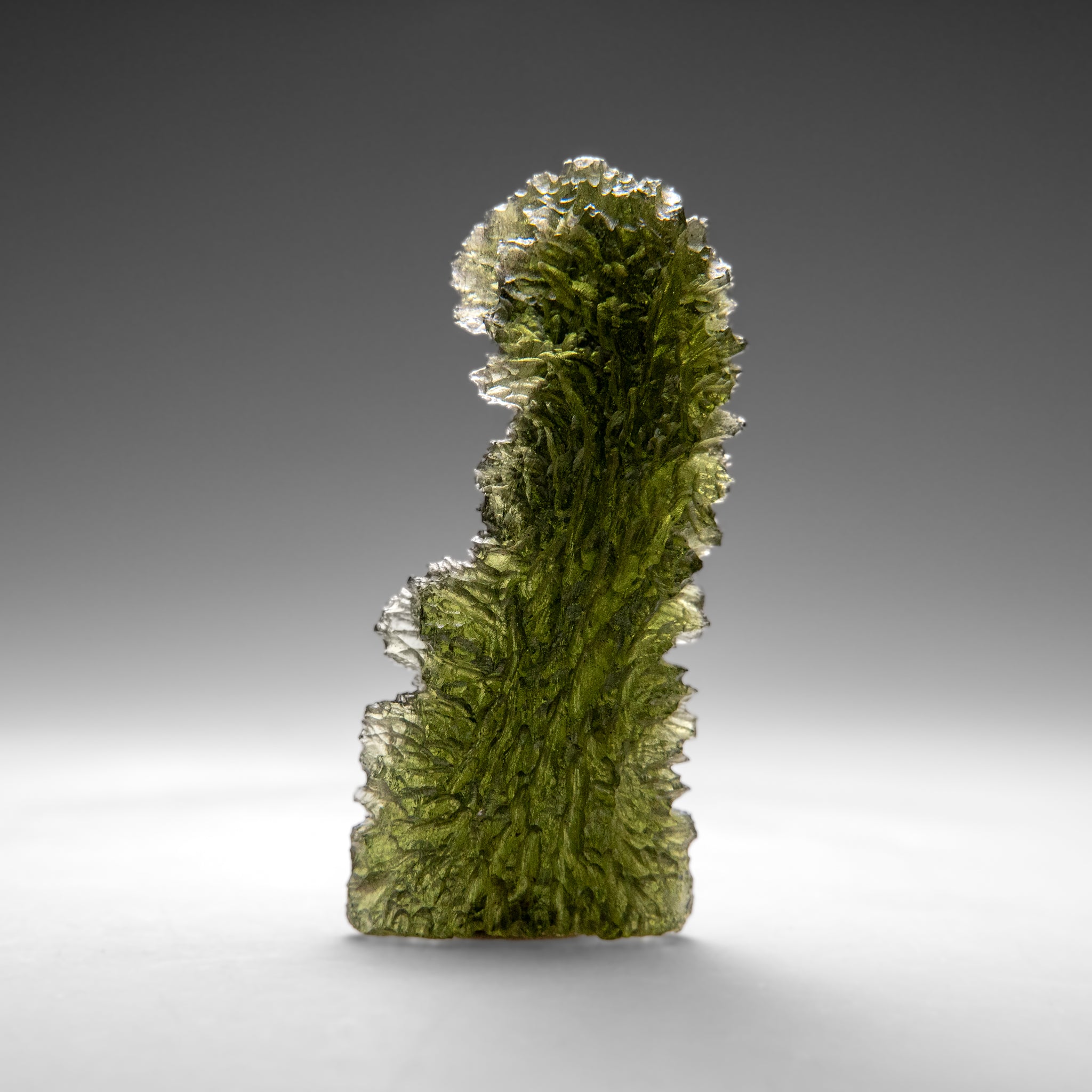 Genuine Moldavite Tektite (16.1 grams)