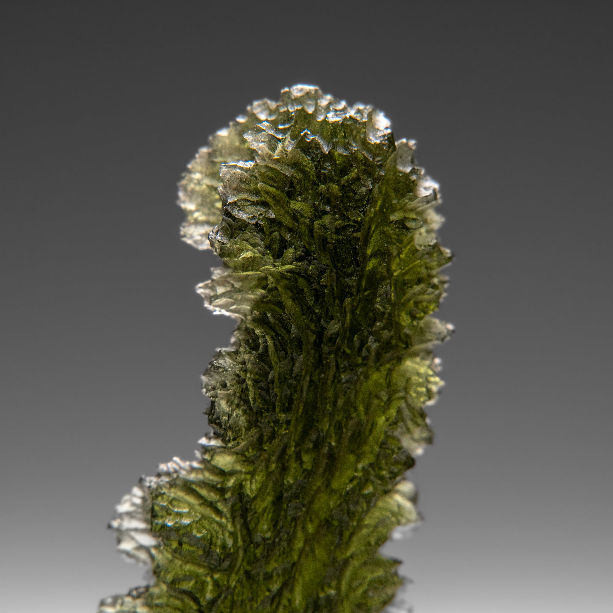 Genuine Moldavite Tektite (16.1 grams)