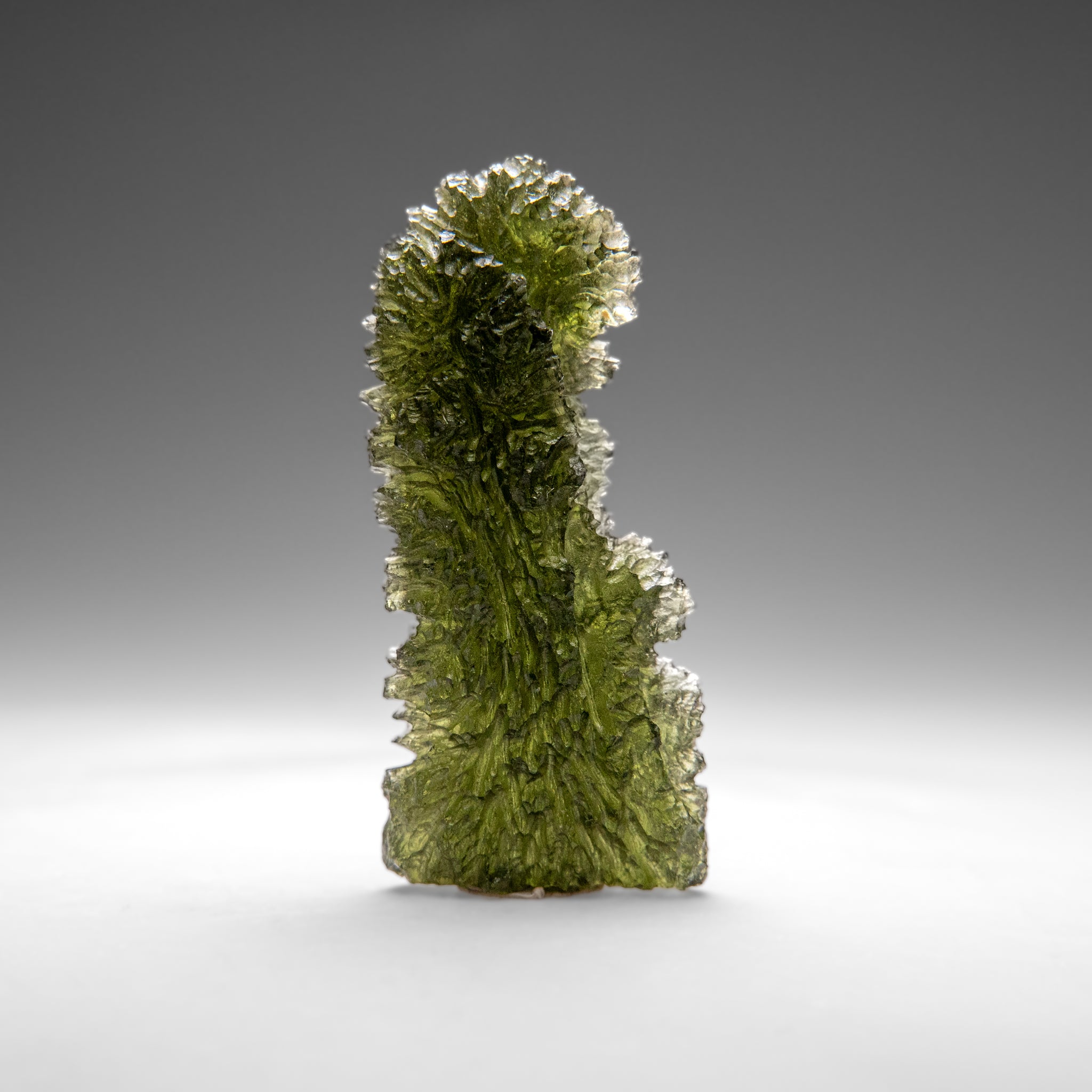 Genuine Moldavite Tektite (16.1 grams)
