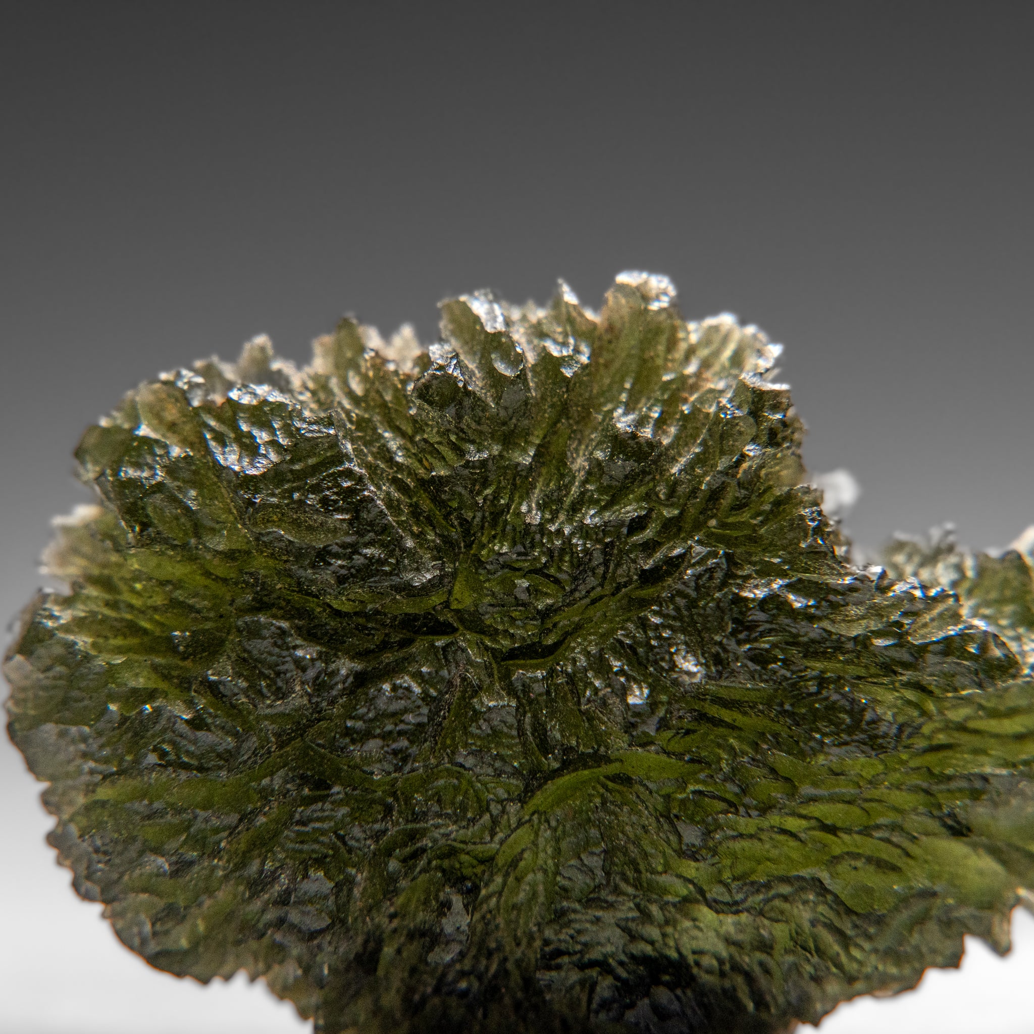 Genuine Moldavite Tektite (18 grams)