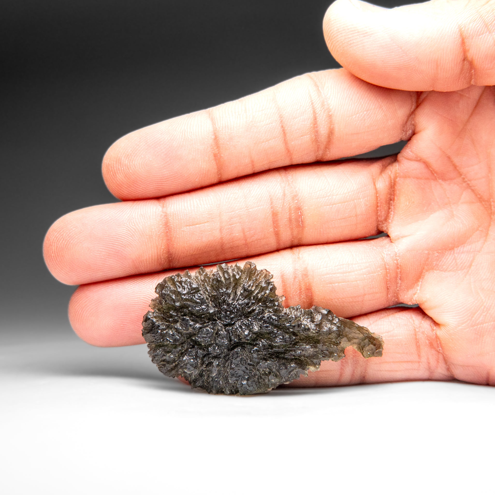 Genuine Moldavite Tektite (18 grams)