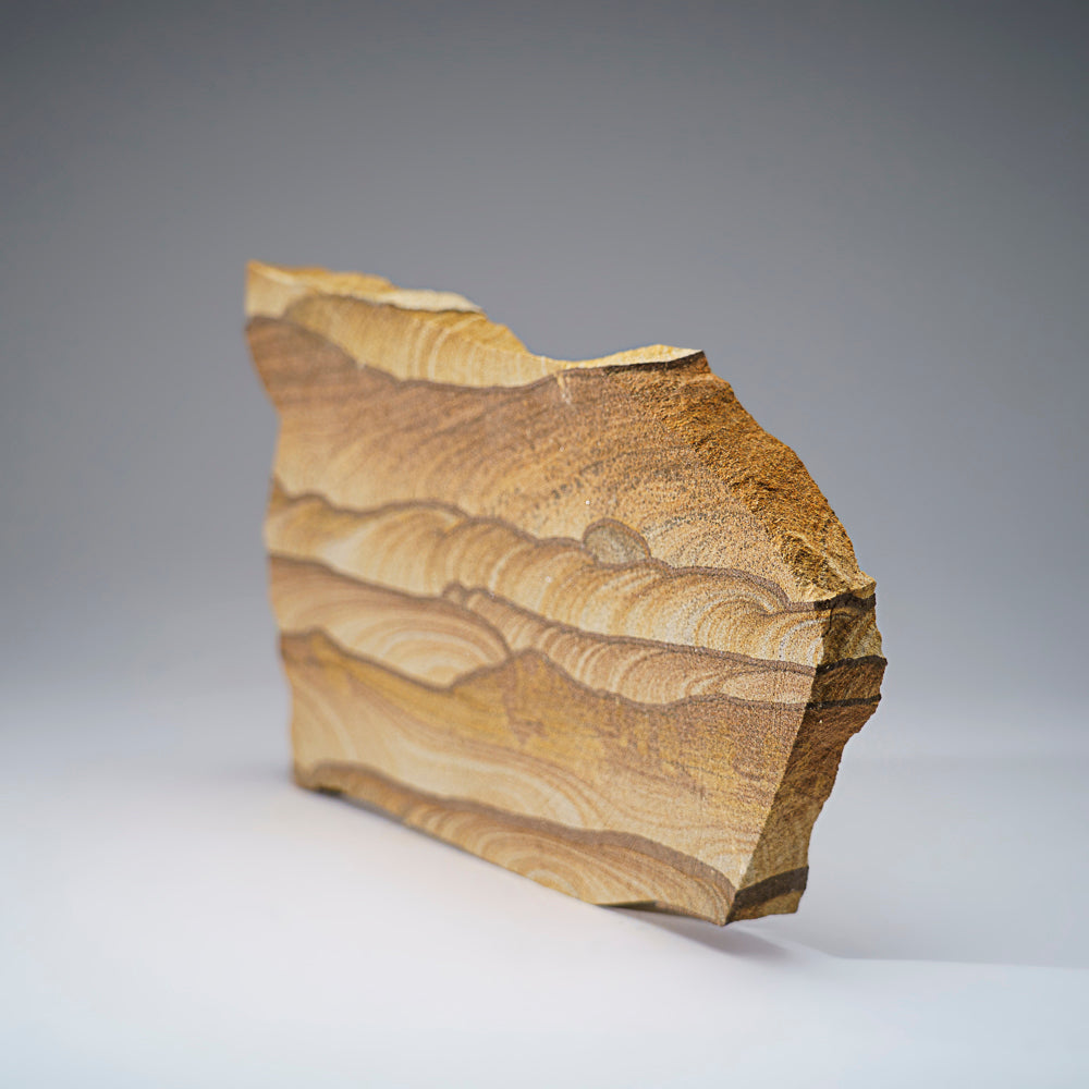 Genuine Sandstone Slice from Arizona (4.5 lbs)