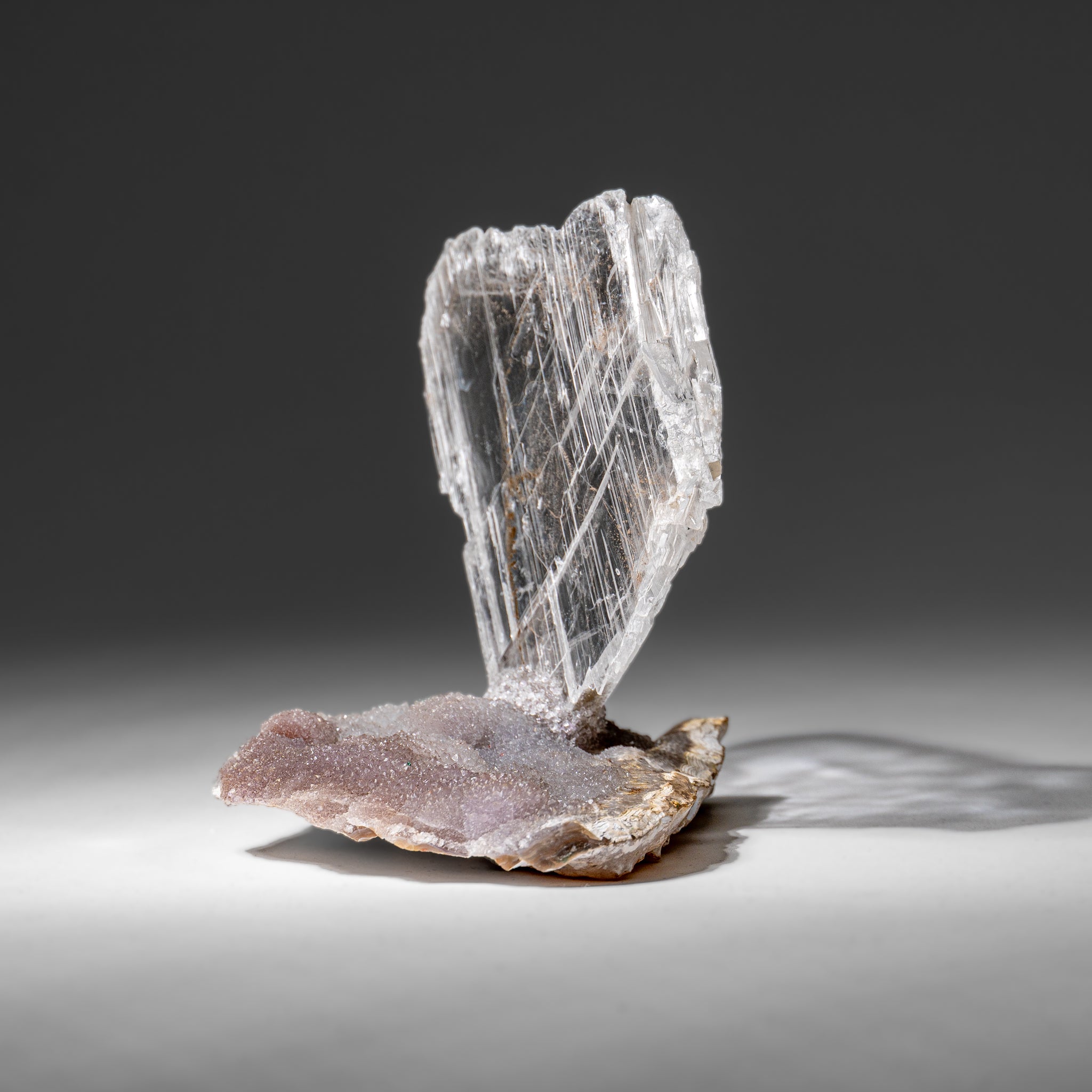Gypsum Var. Selenite on Matrix from Rio Grande do Sul, Brazil (316.4 grams)
