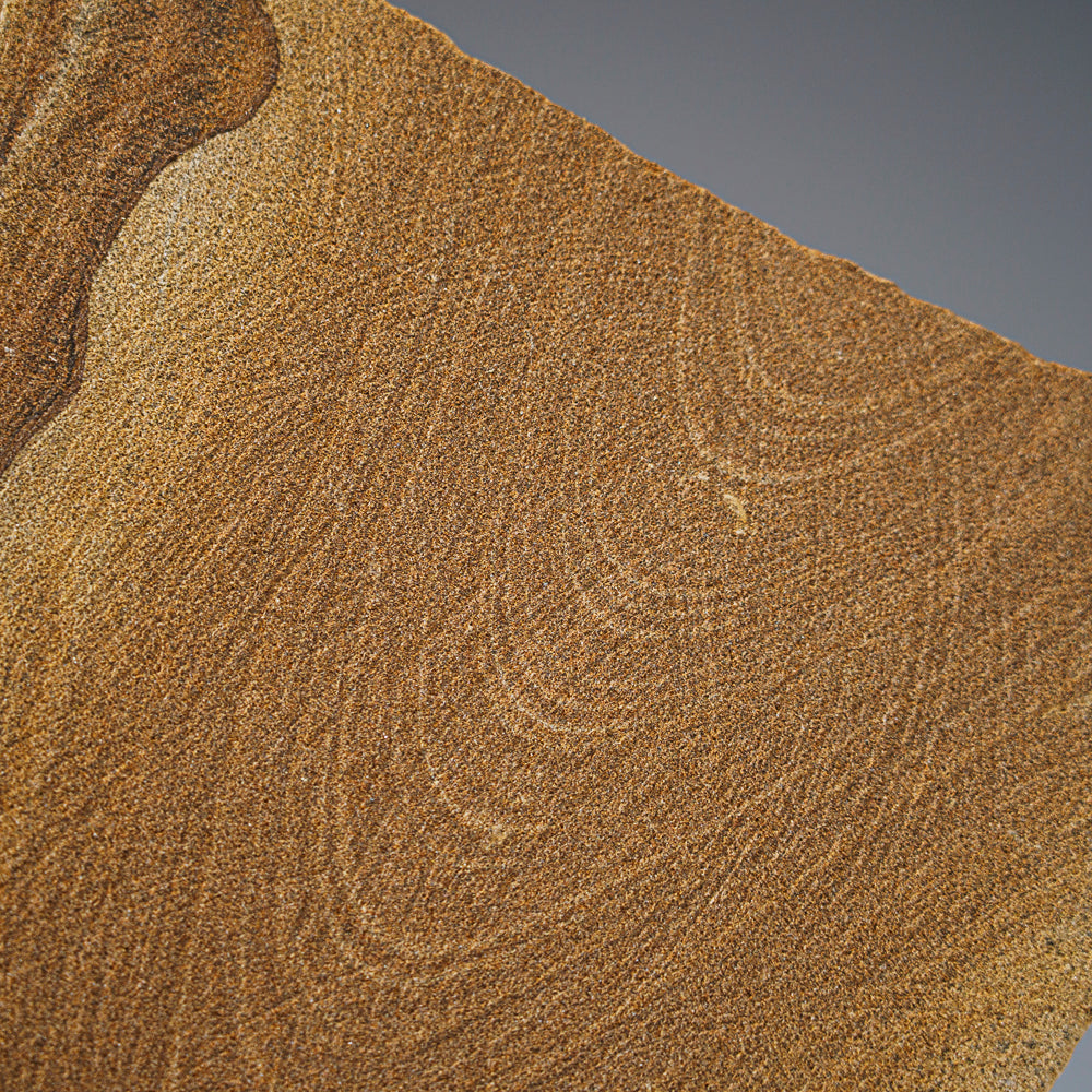 Genuine Sandstone Slice from Arizona (7 lbs)
