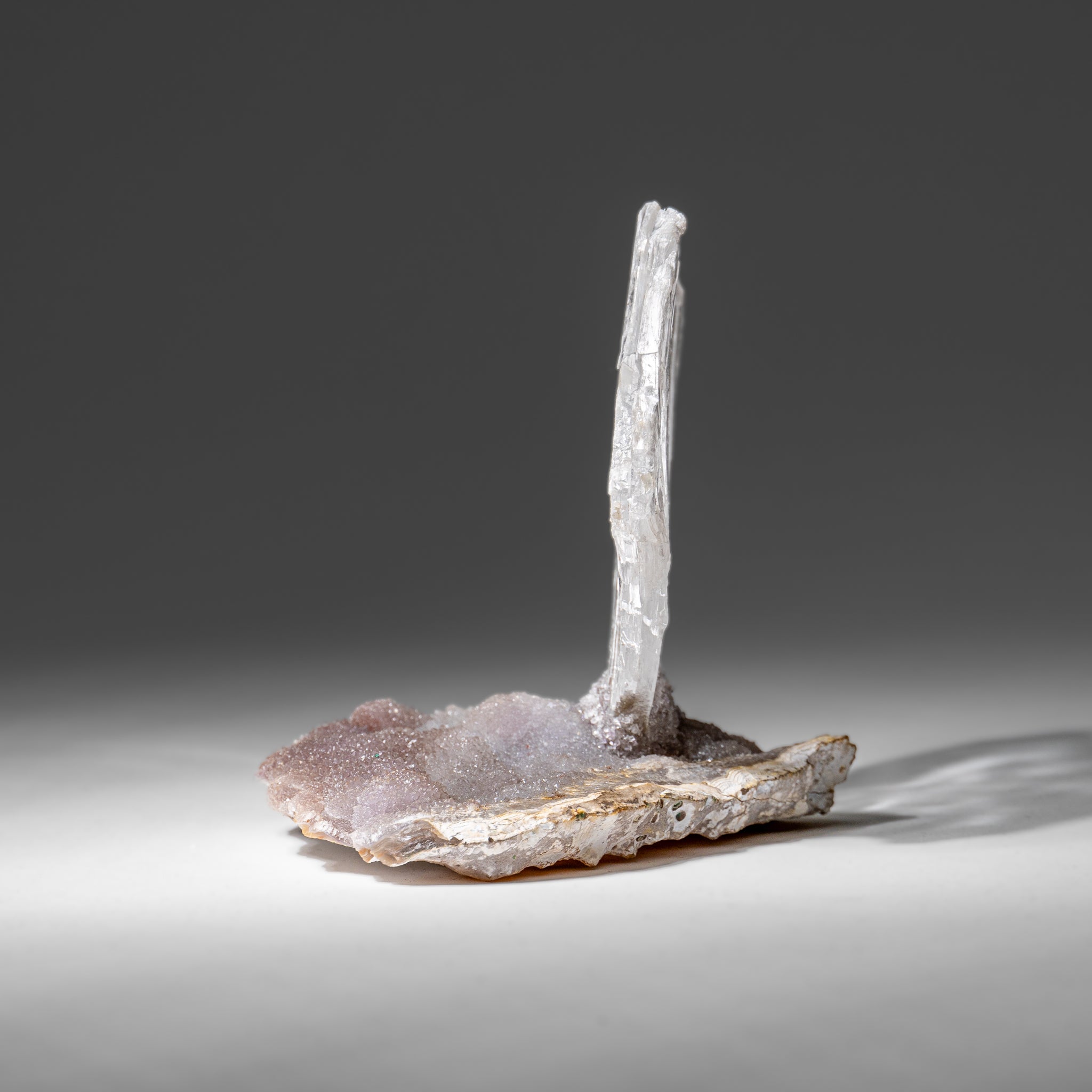 Gypsum Var. Selenite on Matrix from Rio Grande do Sul, Brazil (316.4 grams)