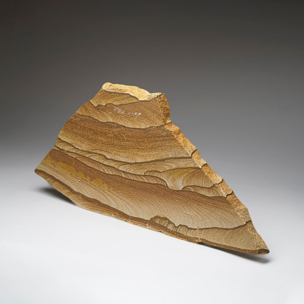 Genuine Sandstone Slice from Arizona (9.5 lbs)