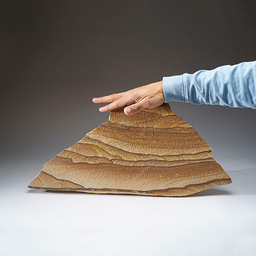 Genuine Sandstone Slice from Arizona (9.5 lbs)