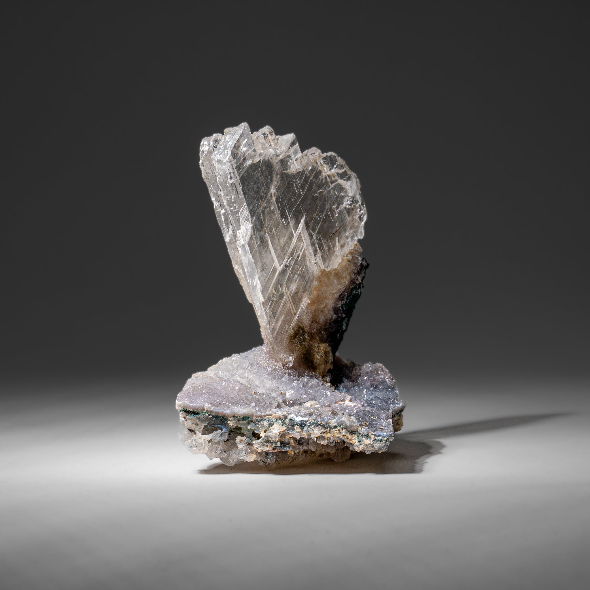 Gypsum Var. Selenite on Matrix from Rio Grande do Sul, Brazil (1.5 lbs)