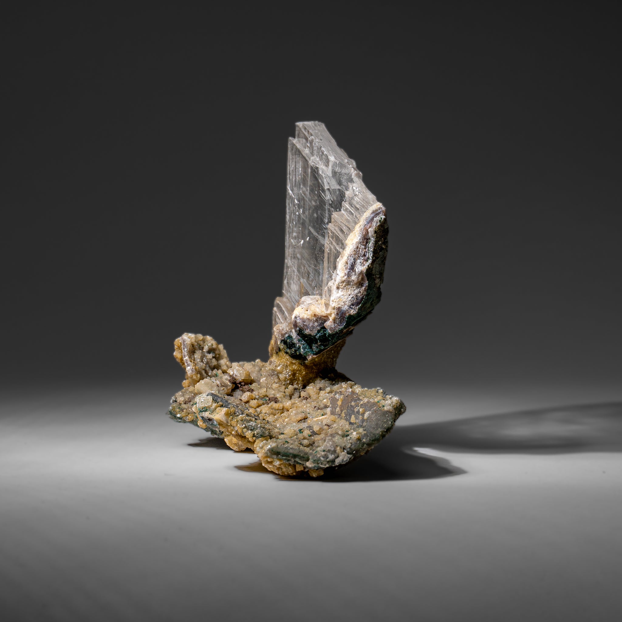 Gypsum Var. Selenite on Matrix from Rio Grande do Sul, Brazil (2 lbs)