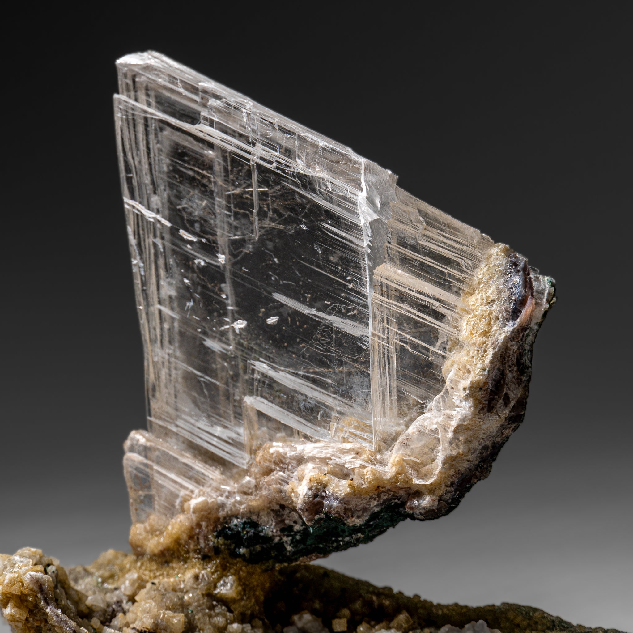 Gypsum Var. Selenite on Matrix from Rio Grande do Sul, Brazil (2 lbs)