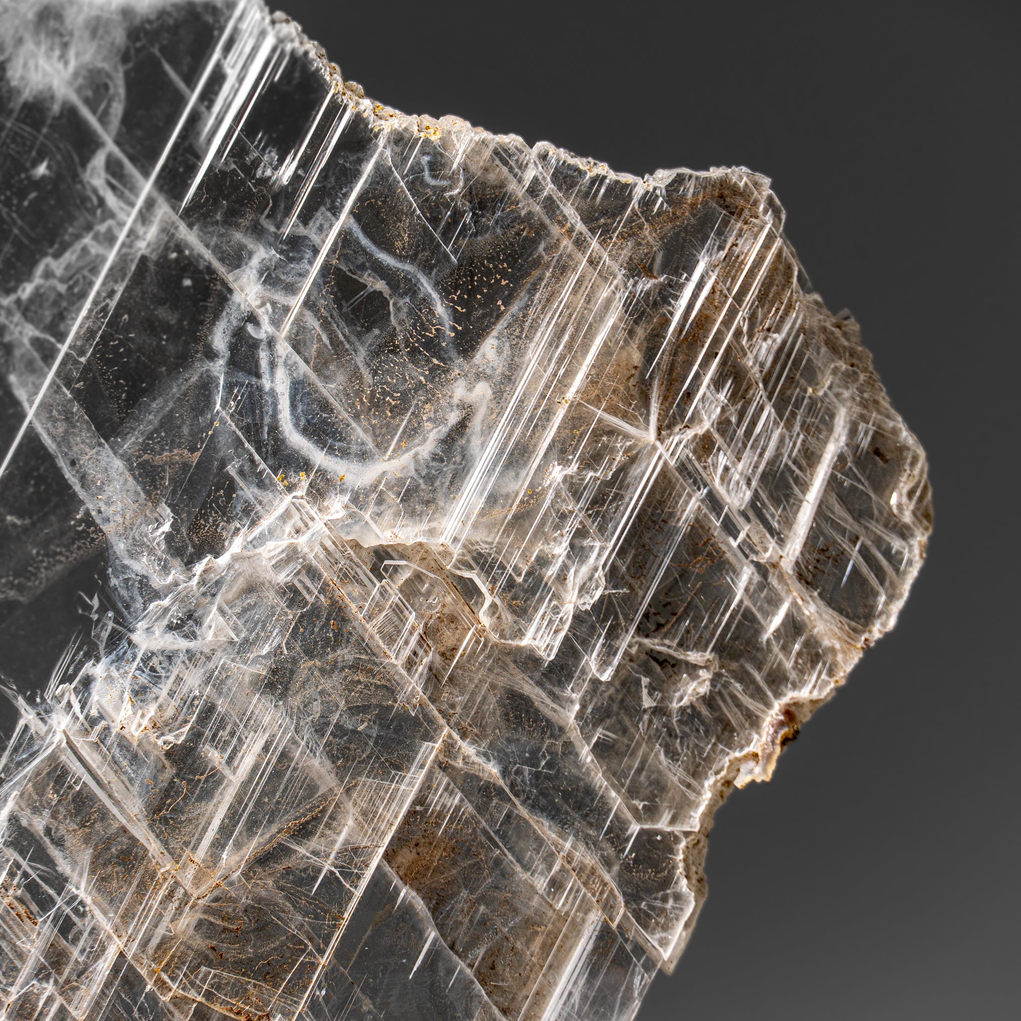 Gypsum Var. Selenite on Matrix from Rio Grande do Sul, Brazil (2.4 lbs)